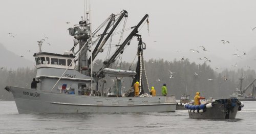 Seattle fisherman may be on the hook for big bill as DOGE's cuts ripple through seafood industry