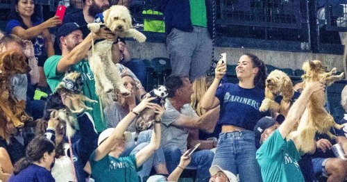 Fireworks Bark In The Park And Bobbleheads Mariners Announce 2023 