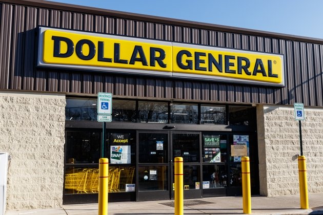 Dollar General drops the most in the S&P 500 after a weak outlook; DLTR and TGT also lower (DG:NYSE)