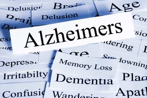 Hoth Therapeutics shares more than double in value on preclinical Alzheimer's data