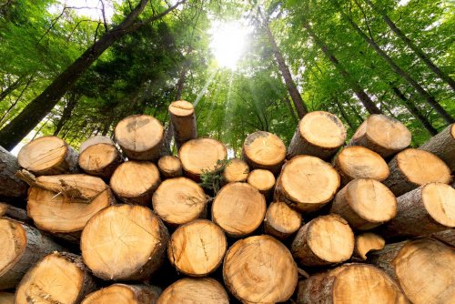 Recession Opportunities: Buying Weyerhaeuser Dividends At A Discount