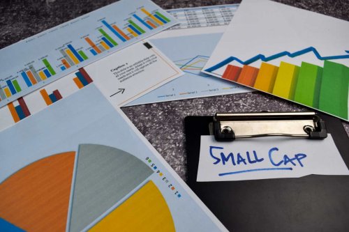 Franklin Small Cap Value Fund Q1 2025 Commentary (MUTF:FRCSX)