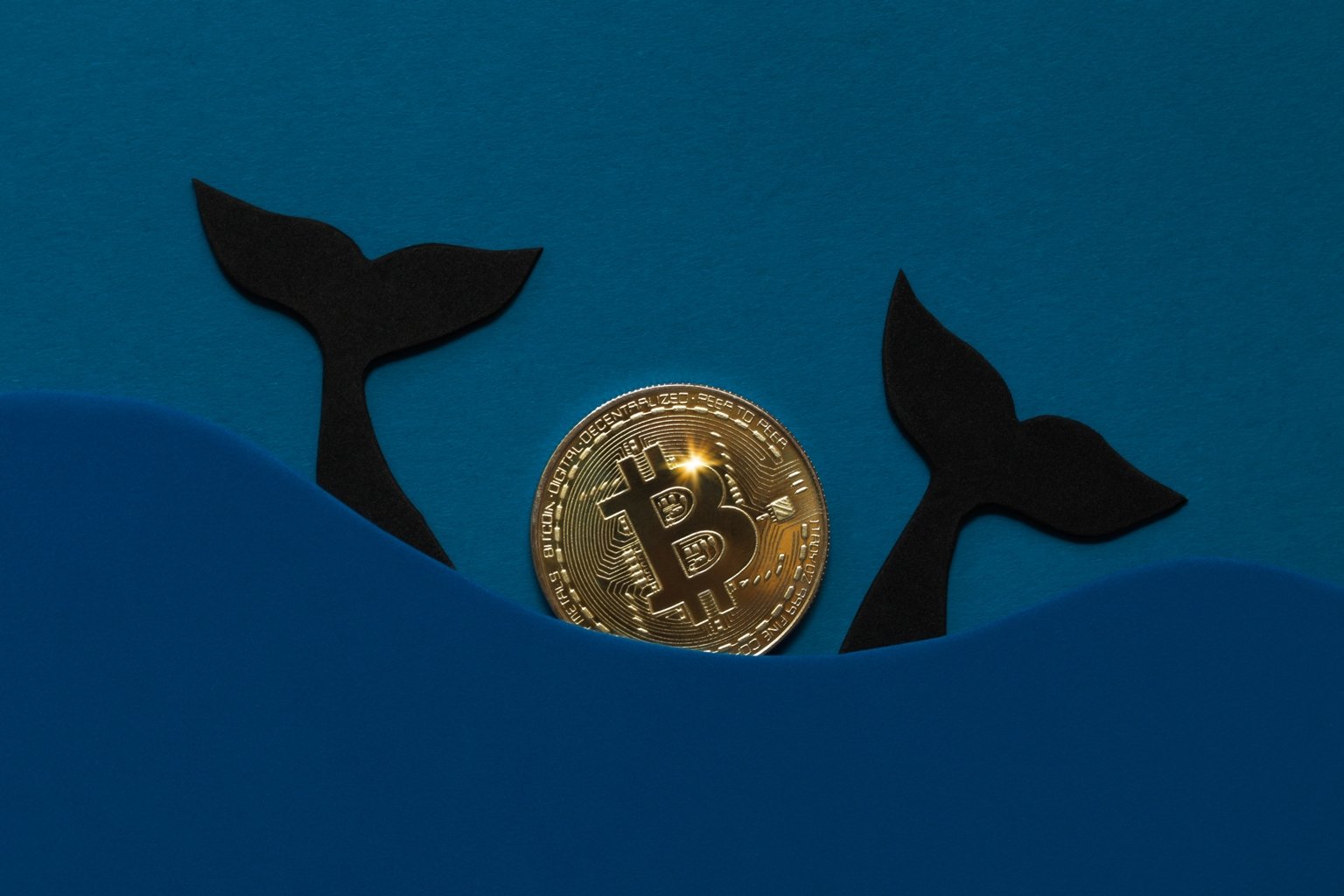 Bitcoin Whales Are Thrashing Around. What's Going On? (Cryptocurrency:BTC-USD)