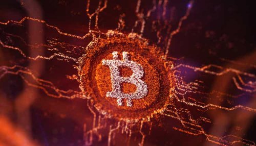 Crypto meltdown: Bitcoin loses half its value since record high (Cryptocurrency:BTC-USD)