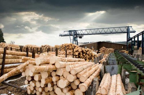 West Fraser Timber to permanently cut some British Columbia production