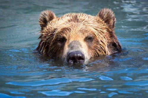 The S&P 500 May Be Near The Most Dangerous Phase Of The Bear Market