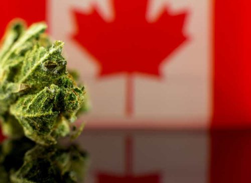 Canada government launching legislative review of Cannabis Act