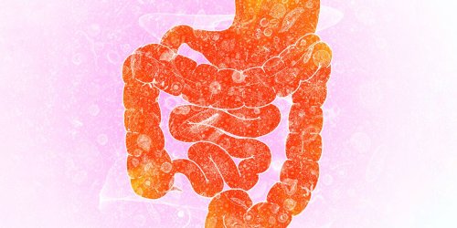 6 Habits Your Gut Is Begging You to Break, According to GI Docs