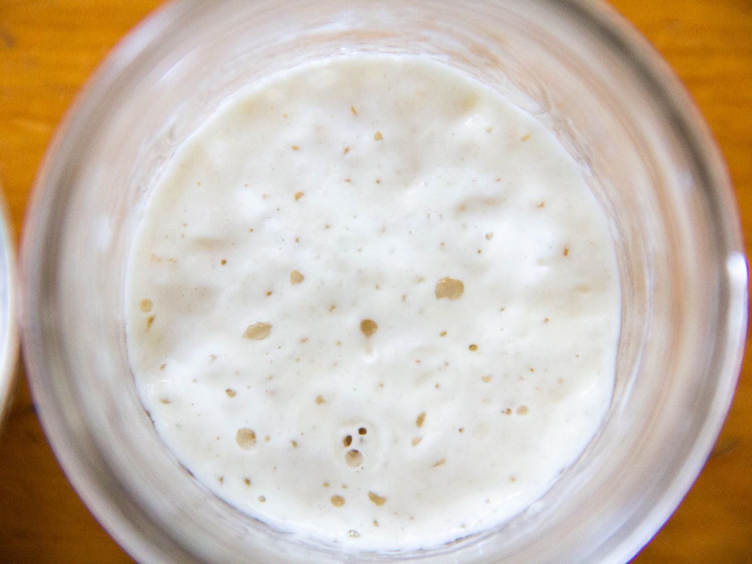 The Science of Sourdough Starters