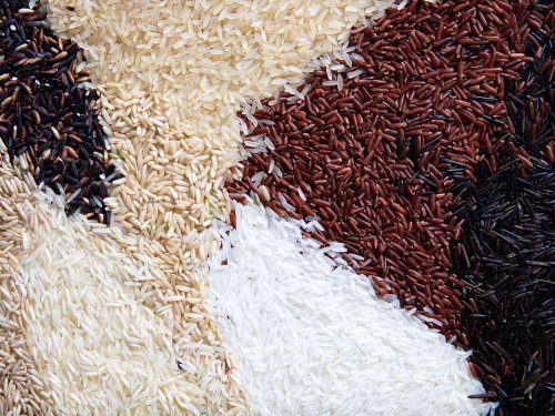 A history of rice and its different varieties