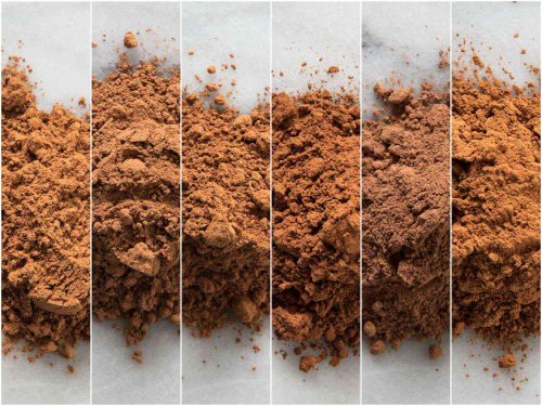 Natural Cocoa Powder Puts the Generic Stuff to Shame—Here Are 4 of Our Favorites