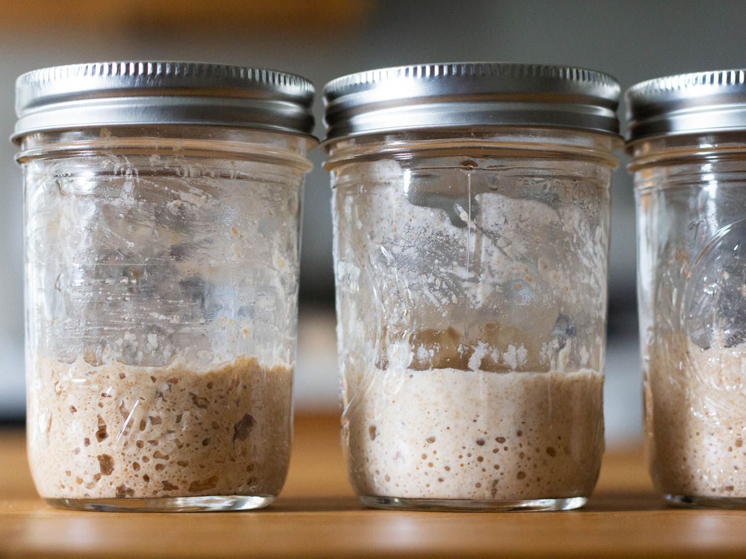 The Best Flour for Sourdough Starters: An Investigation
