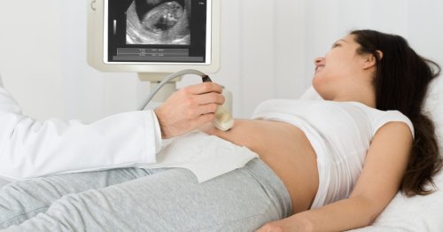 La placenta, ¿cuáles son sus funciones?