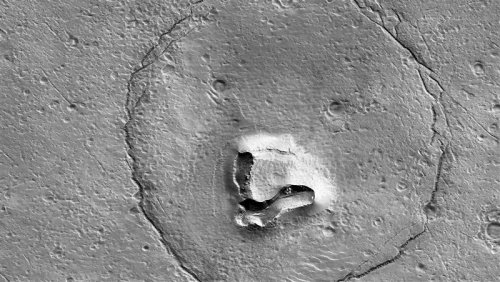 NASA拍到「火星上有熊」！神秘照片曝光　網震驚了 | 國際 | 三立新聞網 SETN.COM