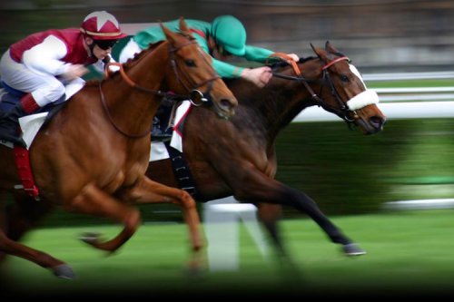http://sevelace.com/how-betting-the-right-horse-at-the-right-time-can-make-you-a-big-winner/ cover image