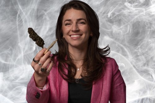 TikToker flips viral weed content into highly anticipated book