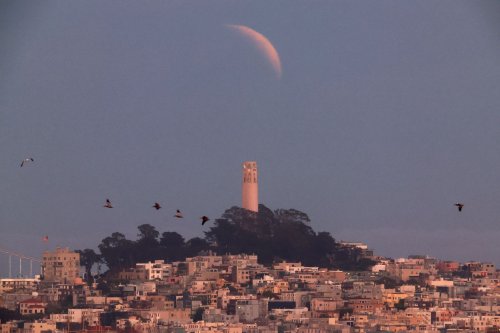 Day Around the Bay: The ‘Blood Moon’ Lunar Eclipse Is Tonight, Will Skies Be Clear Enough to See It?