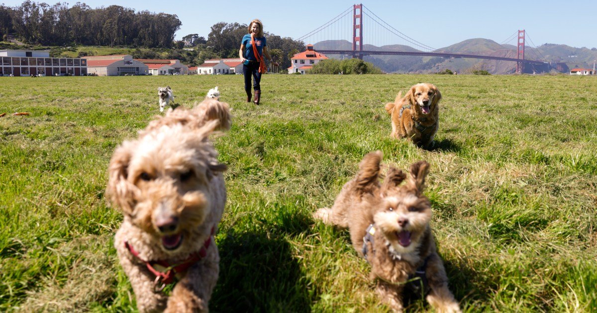 Life in San Francisco cover image