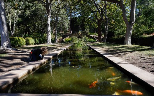 Journeys: A Day in the UC Berkeley Garden That’s Actually a Secret