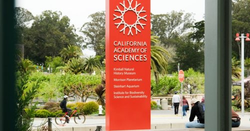 California Academy of Sciences director resigns amid financial chaos