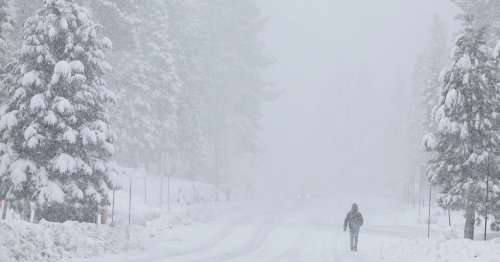 Stunning—and cute—photos of Tahoe getting hammered with snow