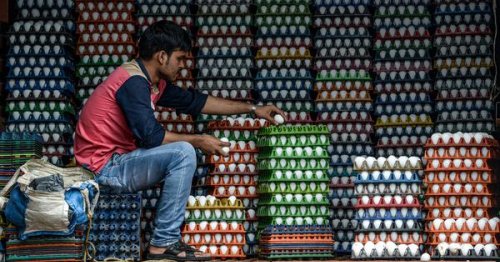 Opinion: Egg shortage in parts of India is a harbinger of the coming protein scarcity