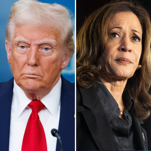 The Internet Reacts After Donald Trump Calls Kamala Harris 'Half' A Person On Latest TV Appearance: 'He's Upset Because Kamala Called Out His BS'