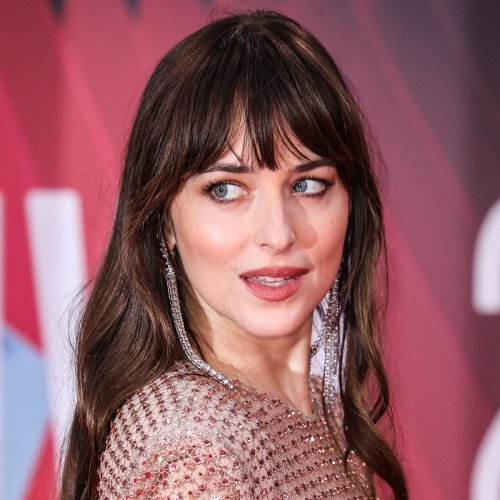 Dakota Johnson Turns Heads At Guccis Cruise Show In A Mesh Adorned Dress With Black Underwear 