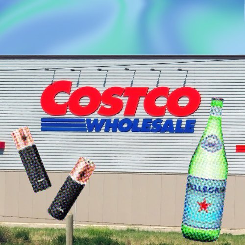 4 Item You Should Be Buying At Costco Because They're Dropping The Price: Batteries, Glasses, More