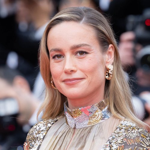 Brie Larson's Plunging Sheer Black Chanel Dress Turned Heads At Cannes ...