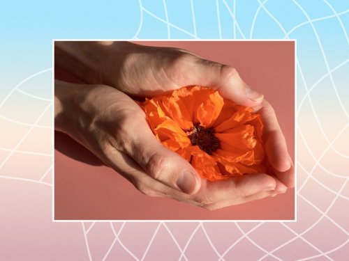 Learn These 13 Essential Facts About the Clitoris for Better Sex