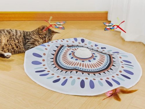 Reviewers Say This Interactive Hide-And-Seek Cat Toy From Amazon Is ‘The Best Toy Ever’ & It’s 20% off Right Now