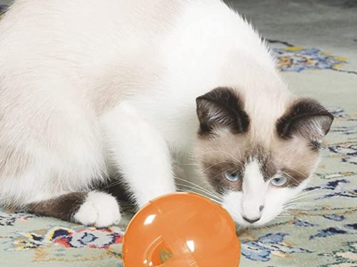 This $6 Cat Treat Ball Toy With Over 21,000 Reviews Is Perfect for Snacking Portion Control