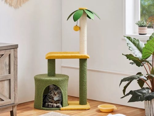 Target’s Adorable New Summer-Themed Cat Tree Is On Sale for Under $30 Today