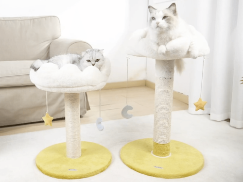 Pet Parents Say Their Cats Are ‘Obsessed’ With This Adorable $24 Cloud-Shaped Cat Tree on Amazon