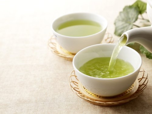 The Best Green Tea to Brew at Home