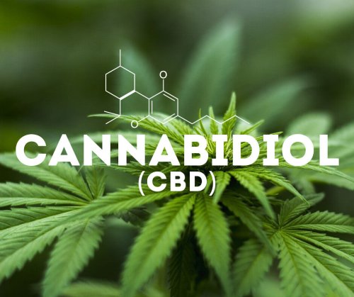 CBD Oil: Unfolding The Unlimited Medical Benefits - Earth Choice Supply