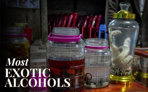 The 29 Most Exotic Alcohols Worldwide That Are Worth Trying