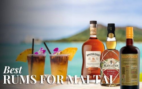17 Best Rums For Mai Tai: The Perfect Drink For Summer