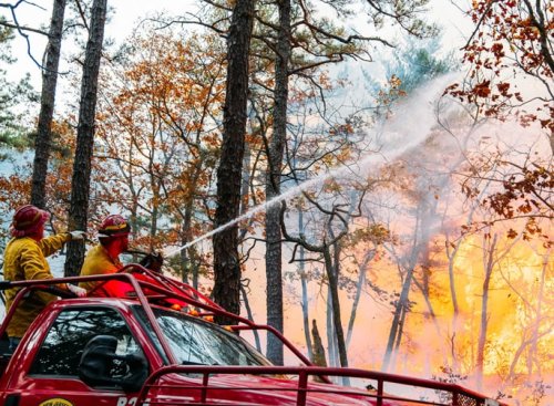 Forest Fire services gives Thursday night update on New Jersey fire