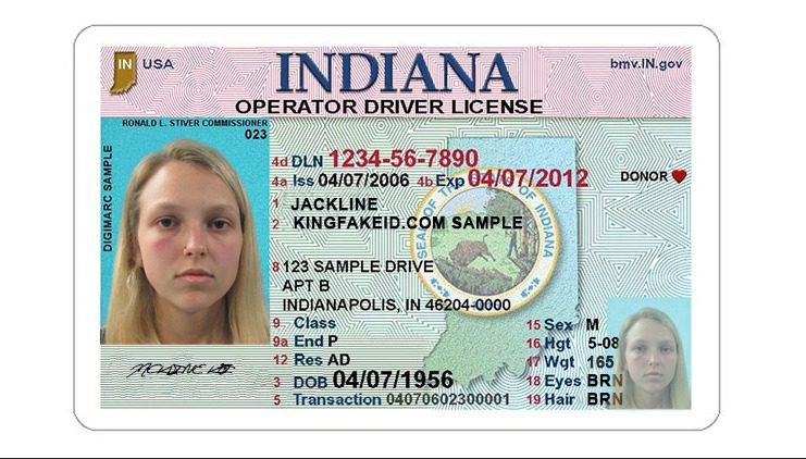 King Fake Id