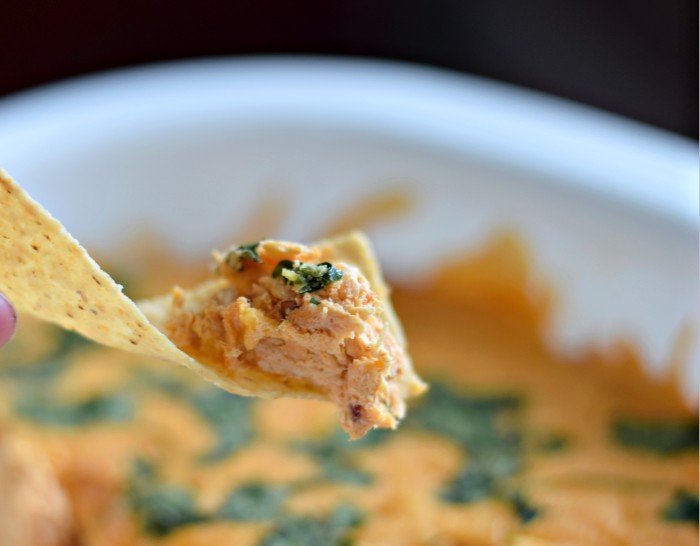 Cheesy Chicken Enchilada Dip Recipe (with a kick)