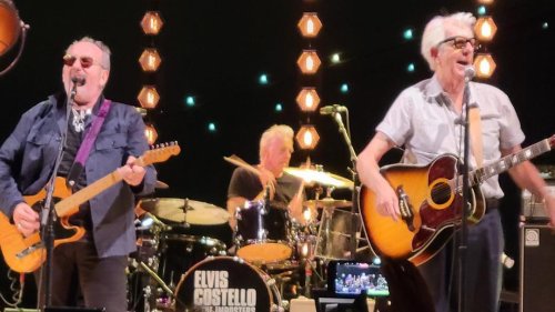 Review: Elvis Costello and Nick Lowe Reunite Under a Full Moon for a Howling Outdoor NY Show