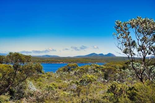 Ancient Forests and Mountain Peaks Make This 696km Australian Drive Absolutely Epic | Flipboard