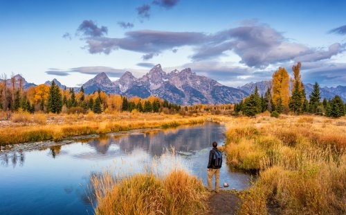 Fall in Jackson Hole Brings Wildlife You Won't See Any Other Season | Flipboard