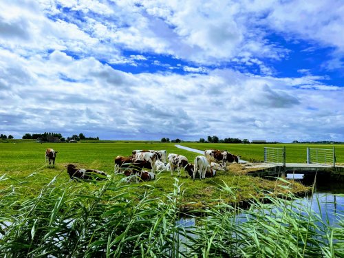 Amsterdam Is Beautiful—But Wait Until You See What's Hiding 20 Minutes Outside the City | Flipboard