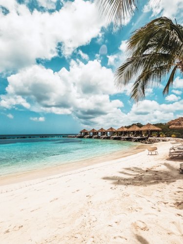 Planning a Caribbean trip but stuck between Aruba and Jamaica? We compared them both | Flipboard