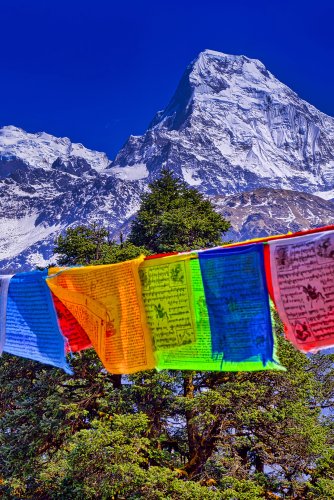 This Himalayan Trek Puts You Inside a Ring of 8,000-Meter Peaks Without Everest's Crowds | Flipboard