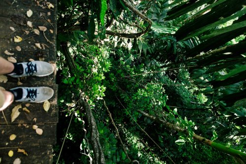 I Hiked Through Costa Rica's Rainforests for a Week. These 8 Spots Blew Away My Expectations | Flipboard