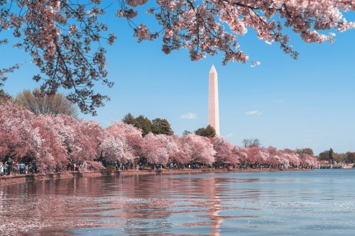 Never Pay Tourist Prices Again With This D.C. Insider's Budget Guide